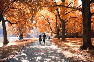 利物浦宣布重大转会，欧冠形势一片未卜