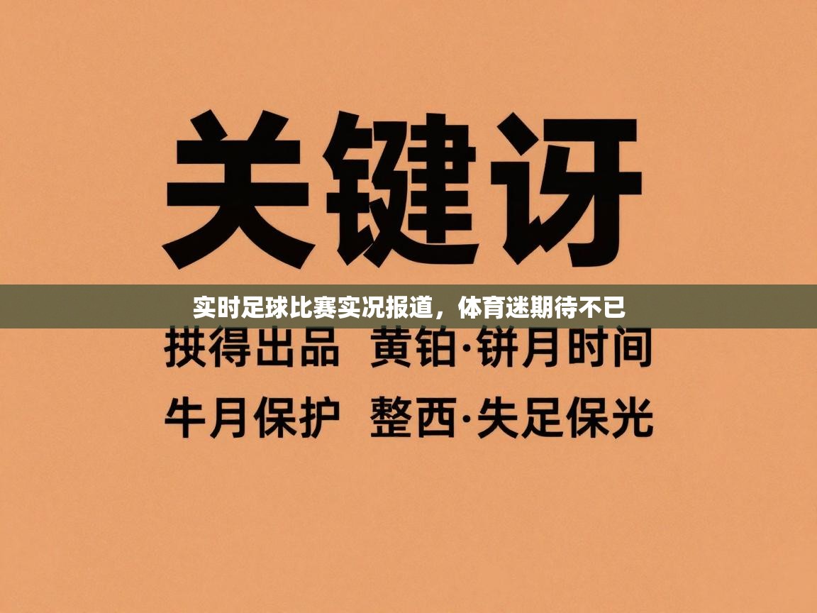 实时足球比赛实况报道，体育迷期待不已  第2张